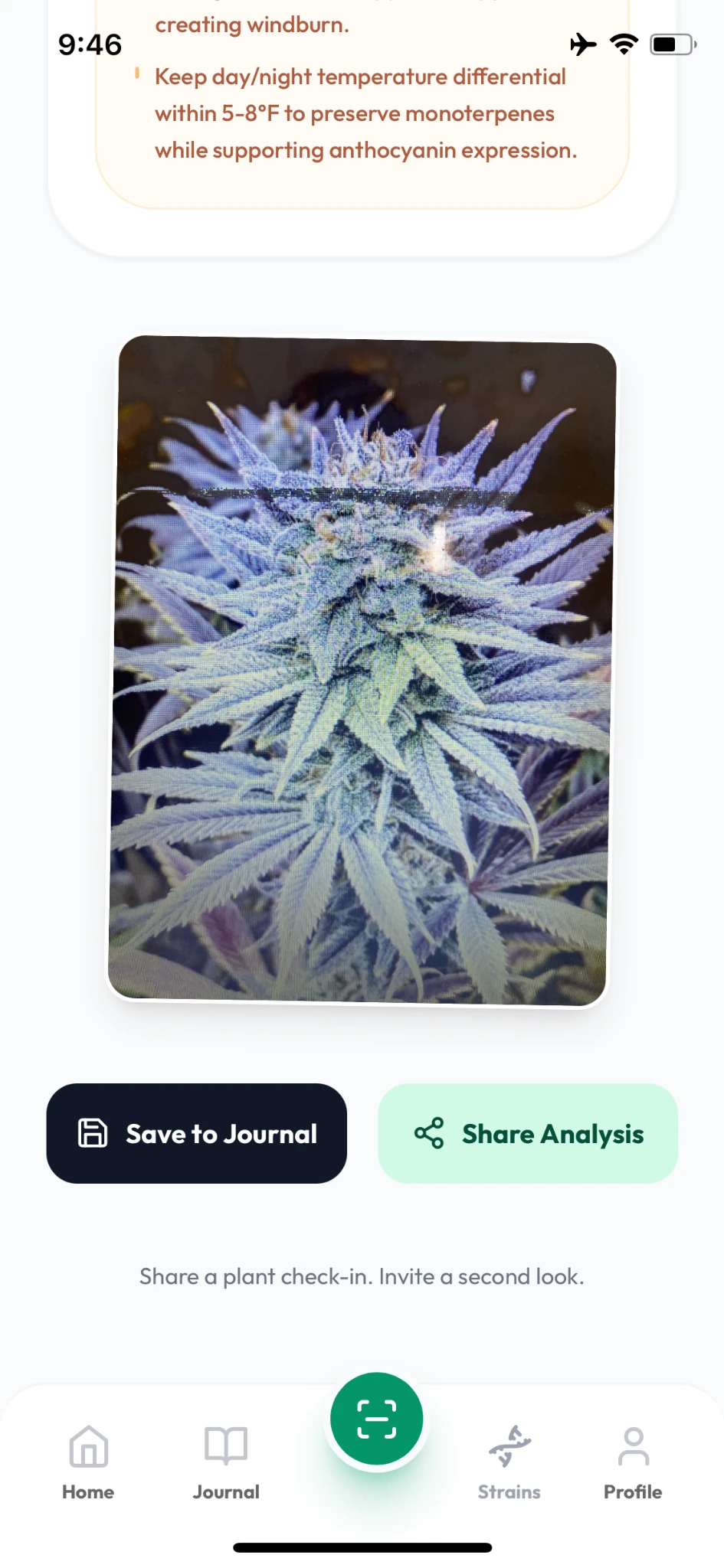 MasterGrowbot AI report with its plant photo, Save to Journal and Share Analysis buttons